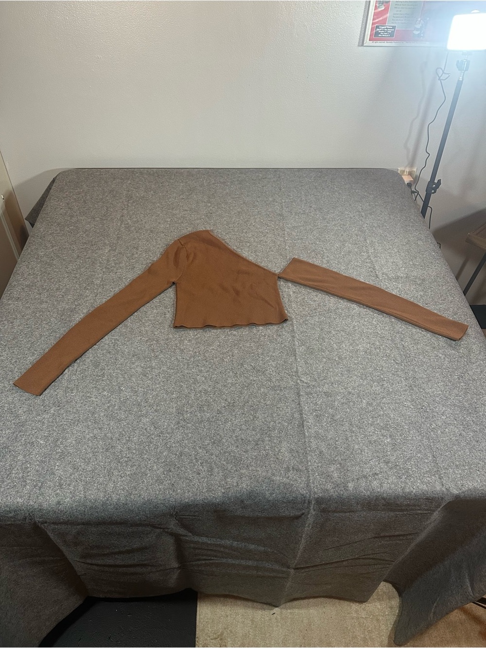 Zara One-Shoulder Long Sleeve Crop Top - Brown